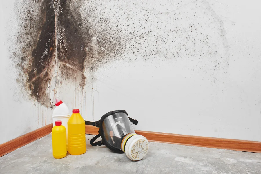 How Mold Remediation Protects Property Value Collegeville, PA